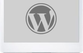 screen_wordpress Novidades e datas do WordPress 2.9