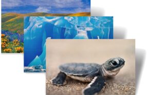 Bing’s Best 3, bonitos temas para seu Windows 7
