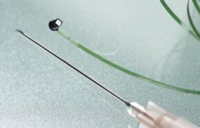 A menus câmara do mundo ocupa um milímetro cúbico