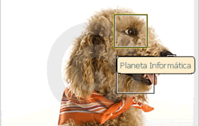 Adicionar comentários em fotos com javascript.