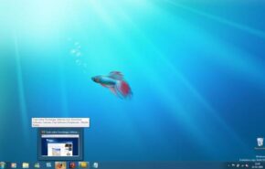 Windows 7 RC Build 7100 nos torrents