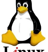 Fedora 10 vs. Ubuntu 8.10