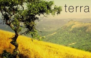 Terra – wallpaper pack