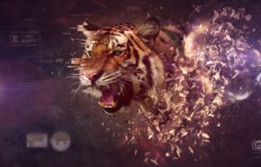 Os melhores sites para baixar wallpapers